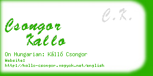 csongor kallo business card